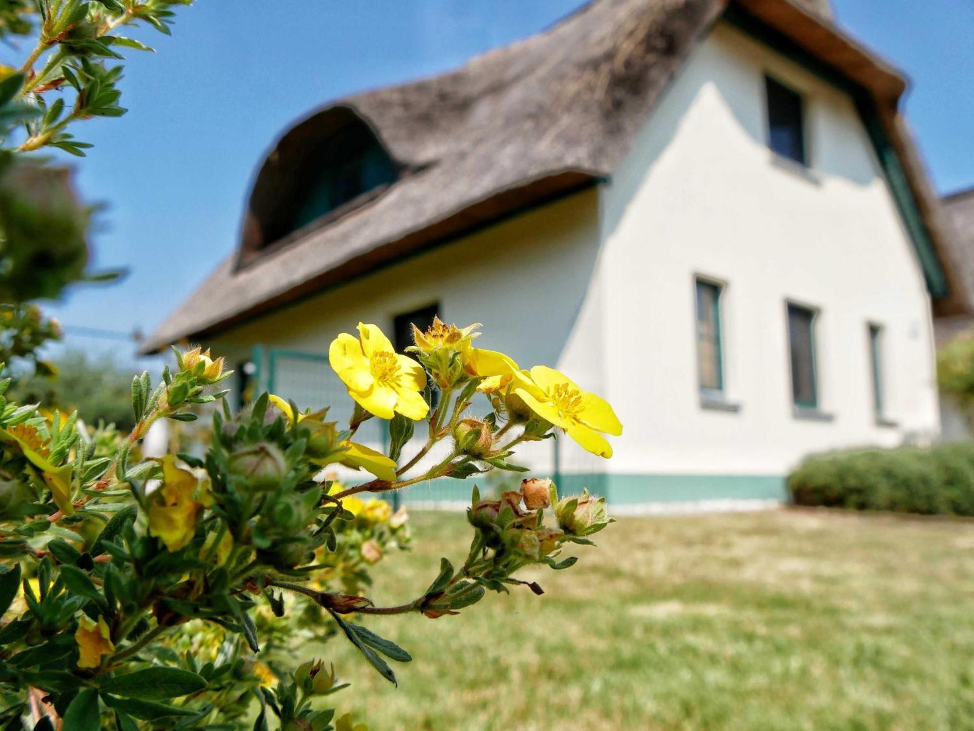 Ferienpark Scharmützelsee Wendisch Rietz Exterior foto